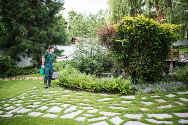 Best Pest Inspection Near Me  in East Dennis, MA